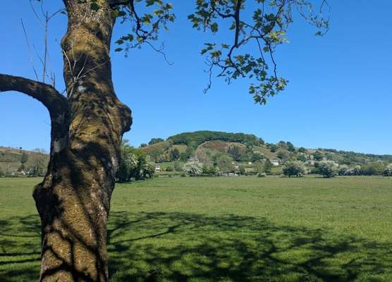 Glan yr Afon Tri - Relax, Recuperate, Enjoy 1