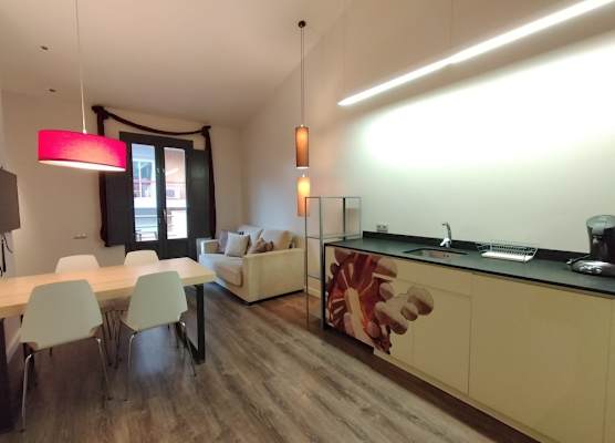 Montserrat Apartments by gaiarooms 1