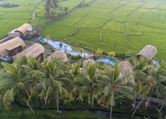 Beehouse Dijiwa Ubud 1