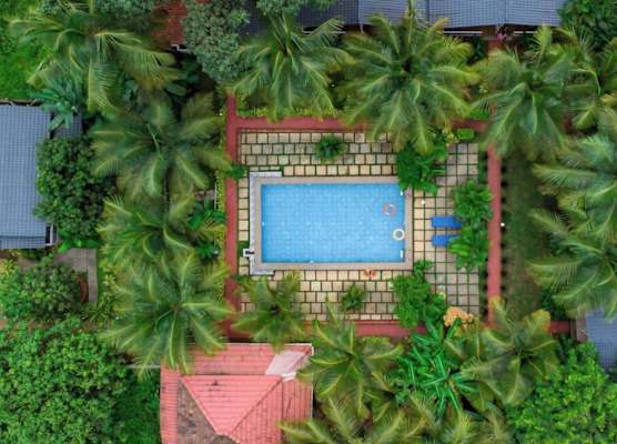 White Truffle Resort, Arambol 1