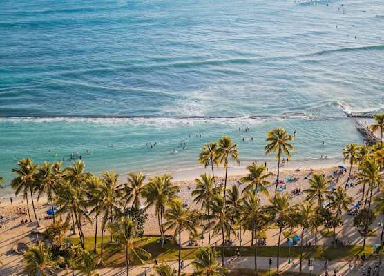 Waikiki Beach Marriott Resort & Spa 1