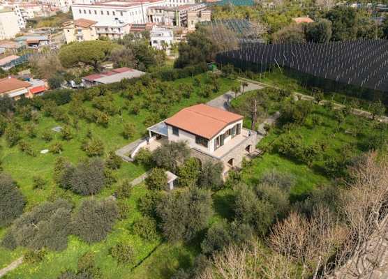 Tenuta Di Leva 1