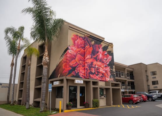 Hotel Milagro 1