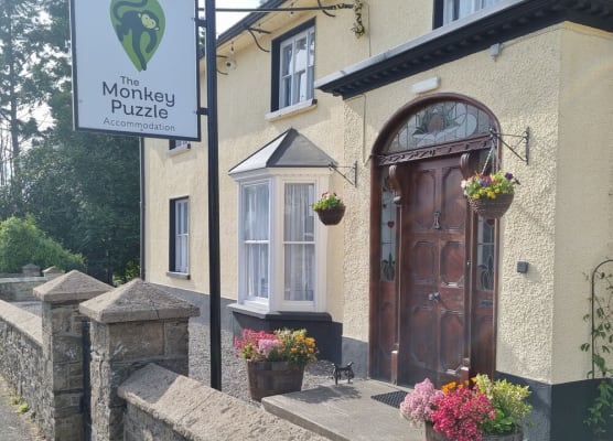 The Monkey Puzzle 1