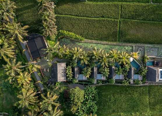 Lasamana Villas Ubud by GenuineHost 1