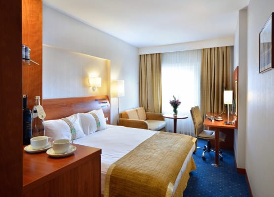 Holiday Inn ISTANBUL CITY by IHG 1