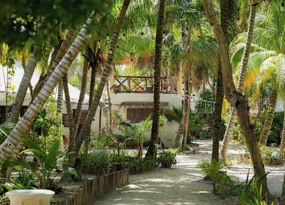 Zomay Beachfront Holbox 1