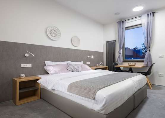 Vila Emona - Central Apartments - Free Parking 1