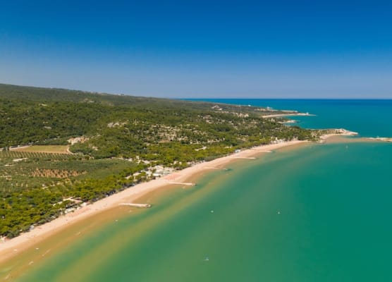 Villaggio Camping Spiaggia Lunga 1
