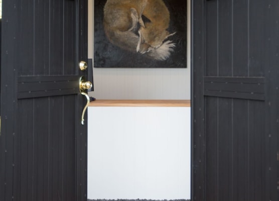 Fox on the Run - Motel Kilmore 1