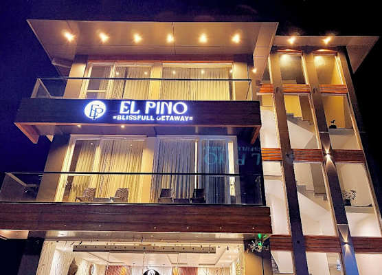 EL PINO 1