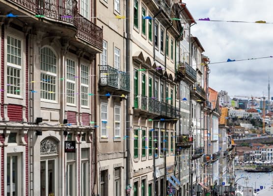 ICON Duplo Ribeira 1