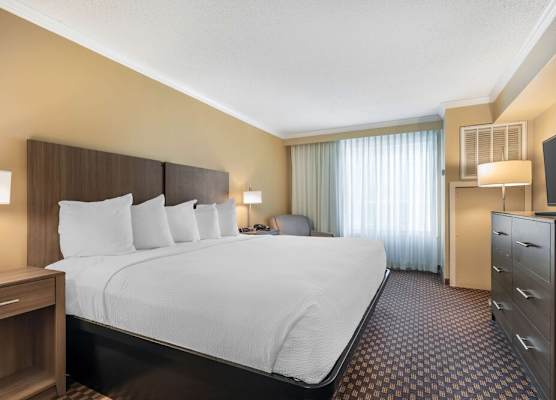 Best Western Ocean City Hotel and Suites 1