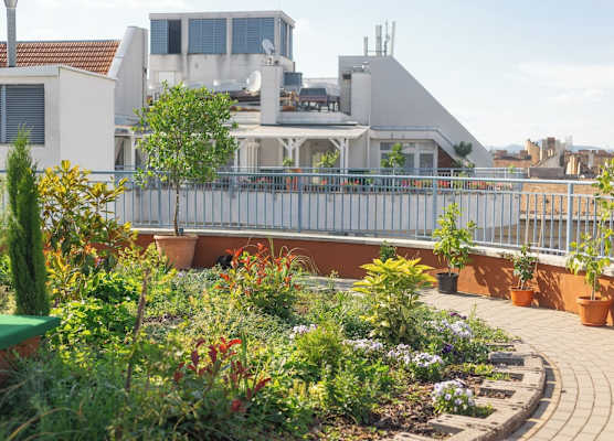 Rooftop City Residence 1