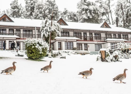 Casa del Lago 1