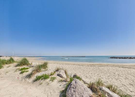 Résidence de Tourisme l'Albatros 1