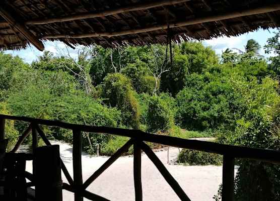 Mida Creek Eco Camp 1