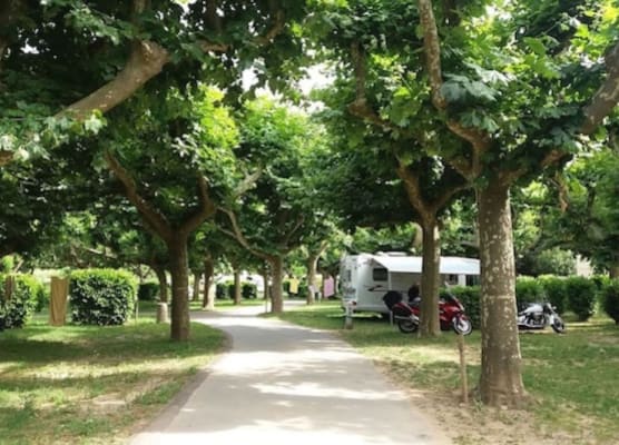Camping de l'Ardèche 1