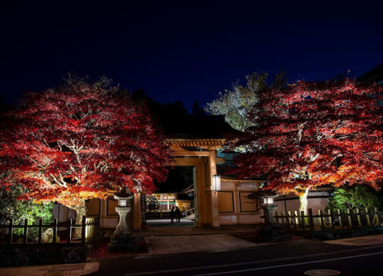 Koyasan Shukubo Sainanin 1