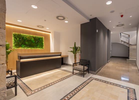 BiBo Suites San Agustín 1