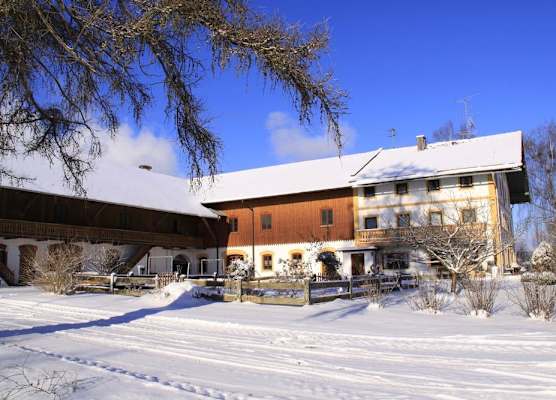 Bernhardhof - Pension, Guest-House & Apartments 1