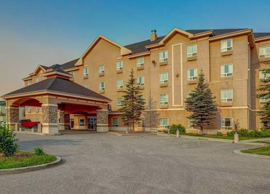 Prairie Crest Red Deer by IHG 1