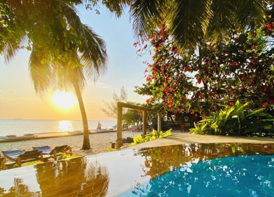 Mangrove Lodge 1