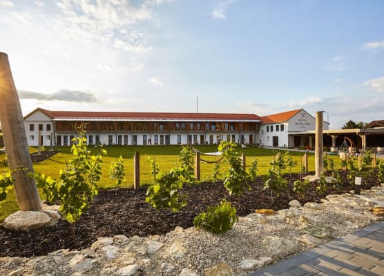 Hotel Ryzlink 1