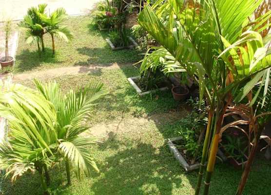 Jasmine Family Hostel 1
