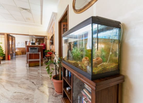Hotel Villa Delle Rose 1