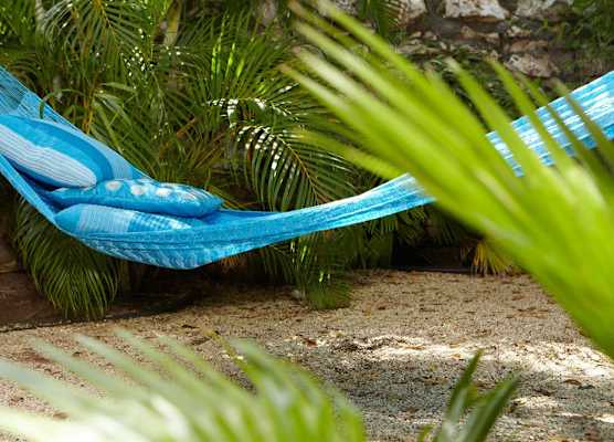 Boardwalk Boutique Hotel Aruba - Adults Only 1