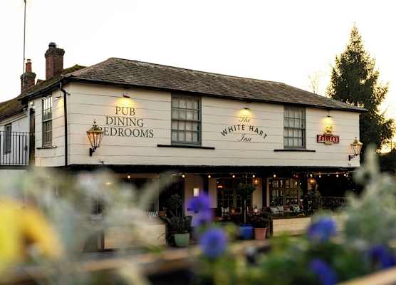 The White Hart 1