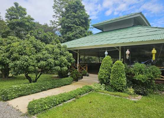 Holiday Resort Rimping 1