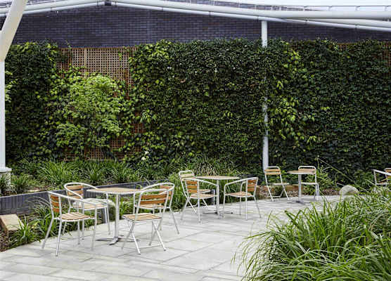 Aparthotel Adagio London Brentford 1