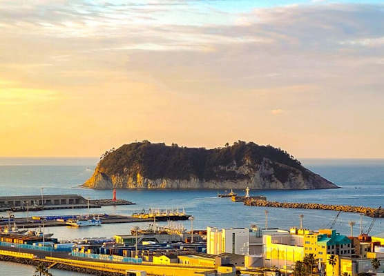 Hotel Bridge Seogwipo 1