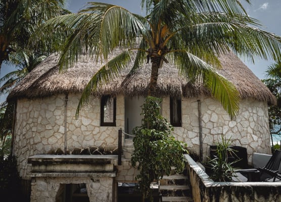 NEST Tulum 1