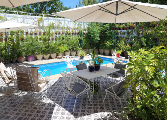 Hotel Vendimia 1