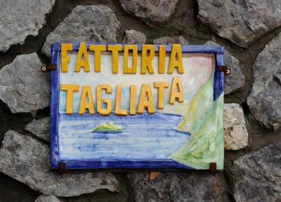 Fattoria La Tagliata 1
