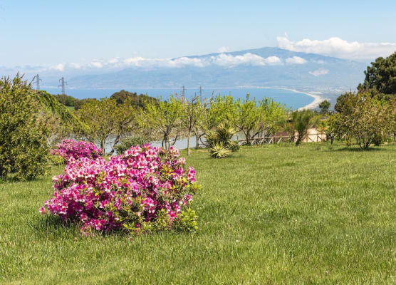 Popilia Country Resort 1