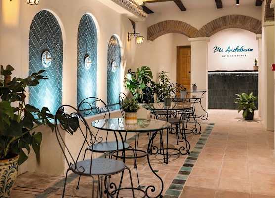 Mi Andalusia Hotel Experience 1