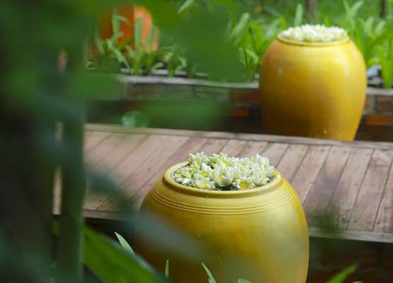 Residence Indochine Suite 1