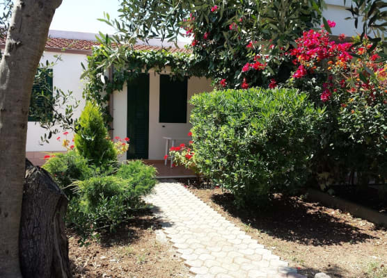 Residence Alba 1