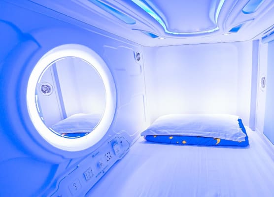 Spacepod@lavender 1
