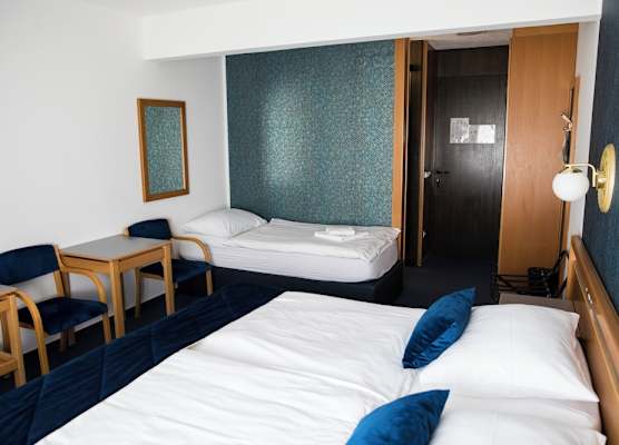 Hotel Alp 1