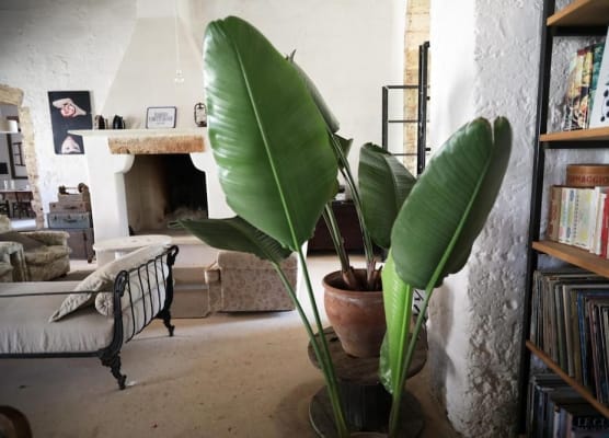 Masseria Caretti Grande 1