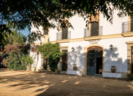 Hacienda de San Rafael 1