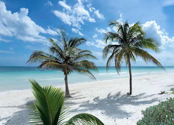 Hotel Pocna Tulum 1