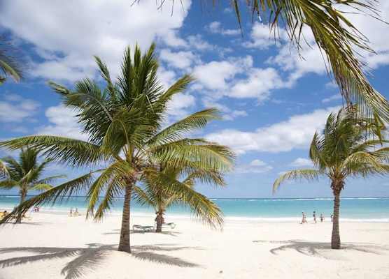 Karibo Punta Cana 1