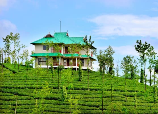 Green Hill Estate 1