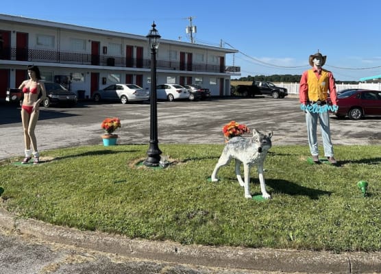 Motel Boutique by Wolf Inn 1